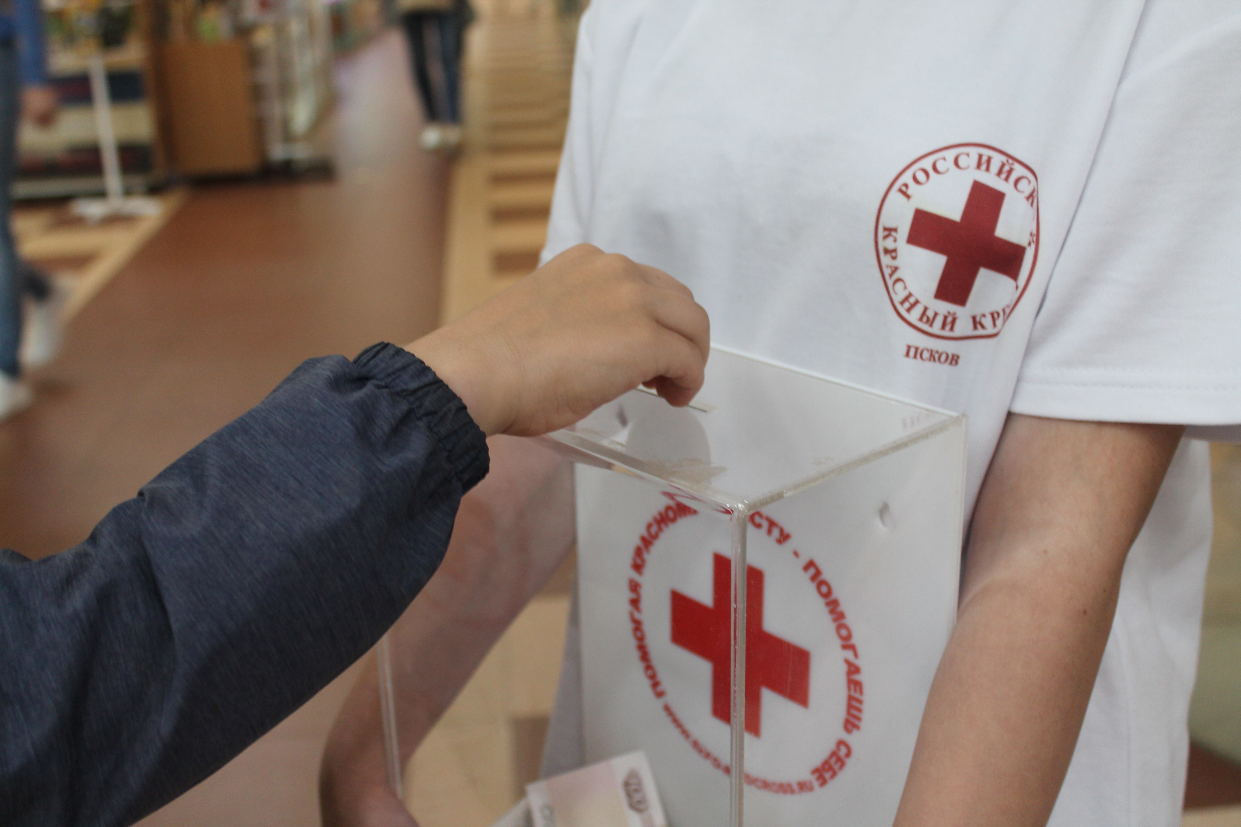 Телефон приемной красного креста. Красный крест Псков. Красный крест пожертвования. Волонтеры красного Креста. Румынский красный крест.